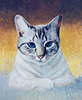 White tabby cat oil painting.